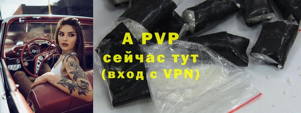 гашик Алексеевка