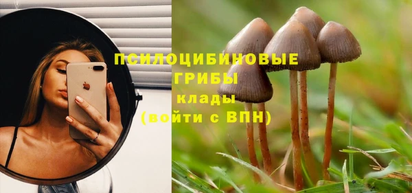 твердый Алексин