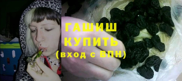 гашик Алексеевка